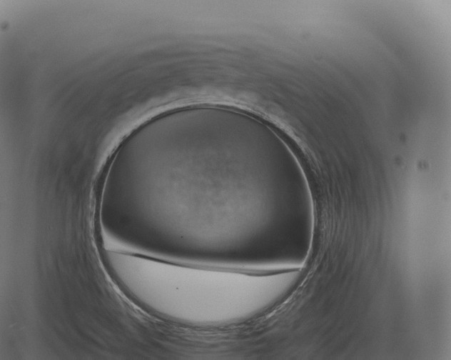 X0000085251508200703091245