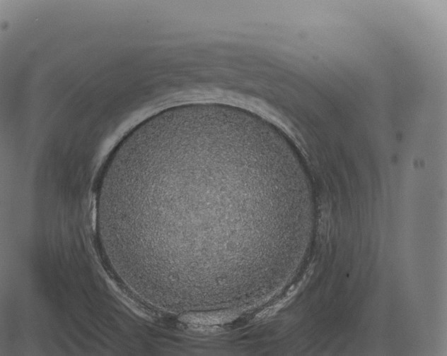 X0000085251509200703091245