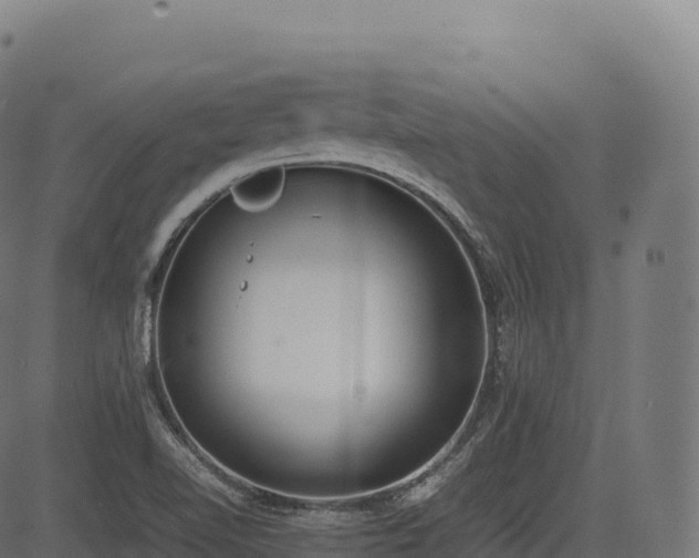 X0000085251510200703091245