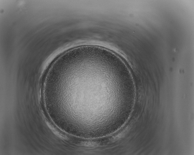 X0000085251511200703091245