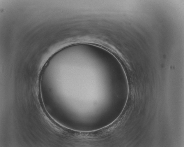 X0000085251512200703091245