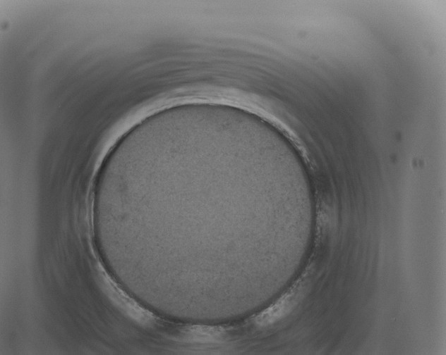 X0000085251514200703091245