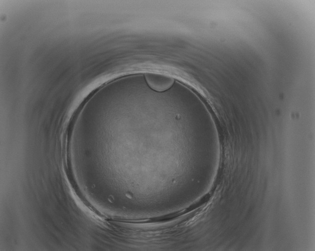 X0000085251515200703091245