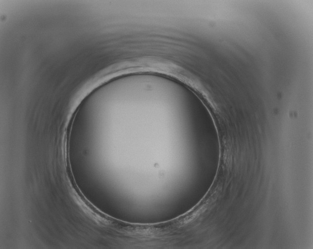 X0000085251516200703091245