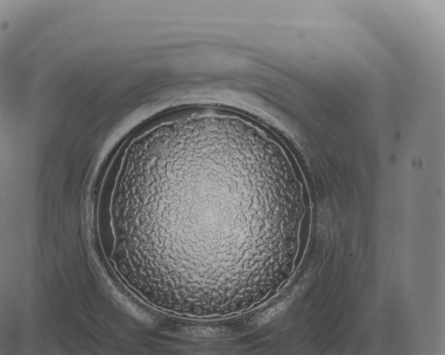 X0000085251517200703091245