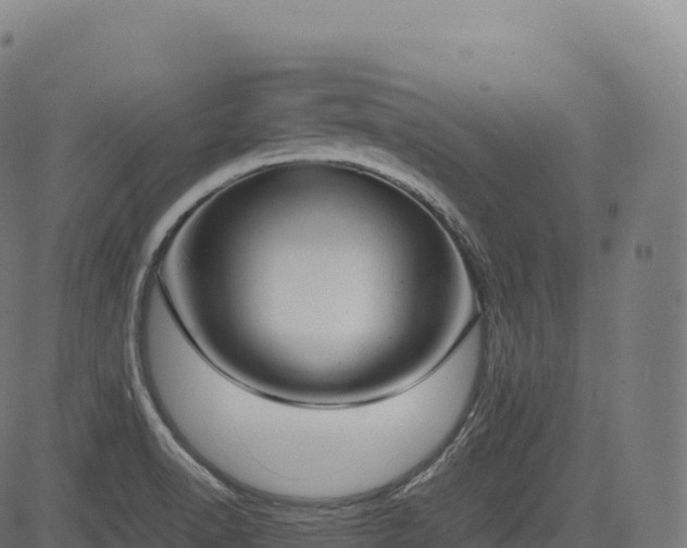 X0000085251518200703091245