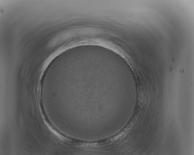 X0000085251519200703091245