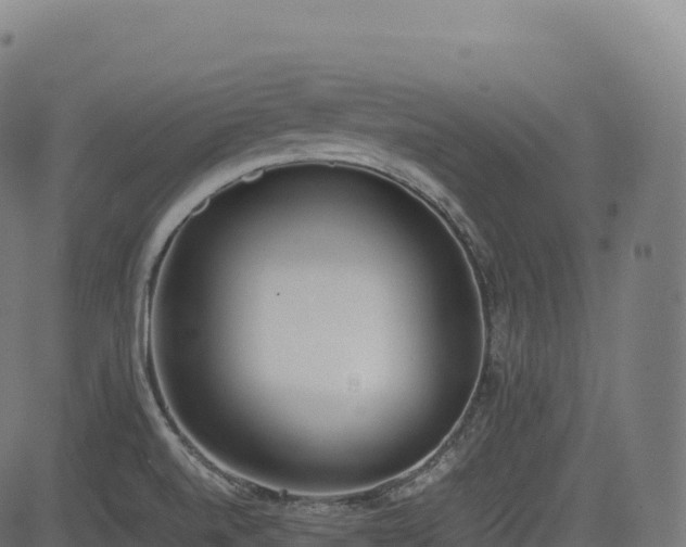 X0000085251520200703091245