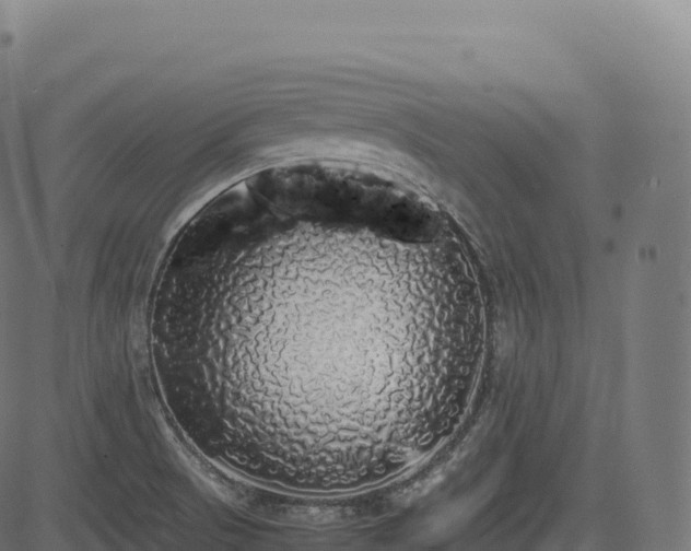 X0000085251521200703091245