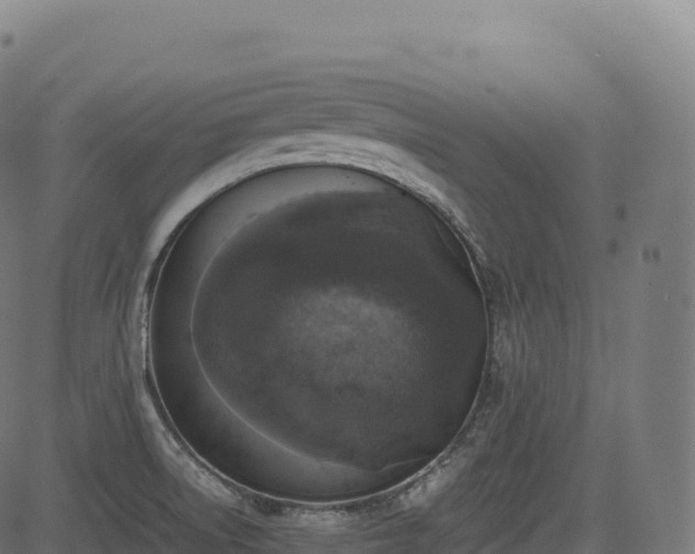 X0000085251522200703091245