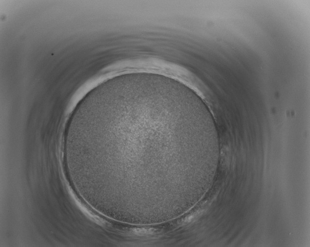 X0000085251523200703091245