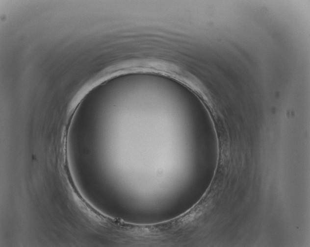 X0000085251524200703091245