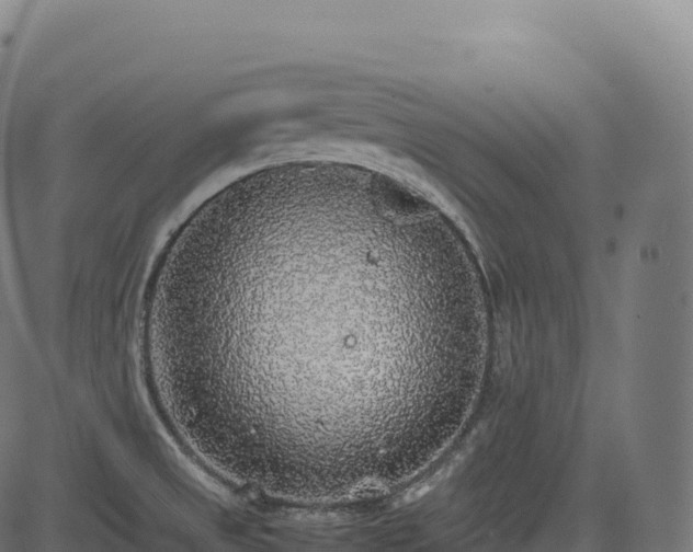 X0000085251525200703091245