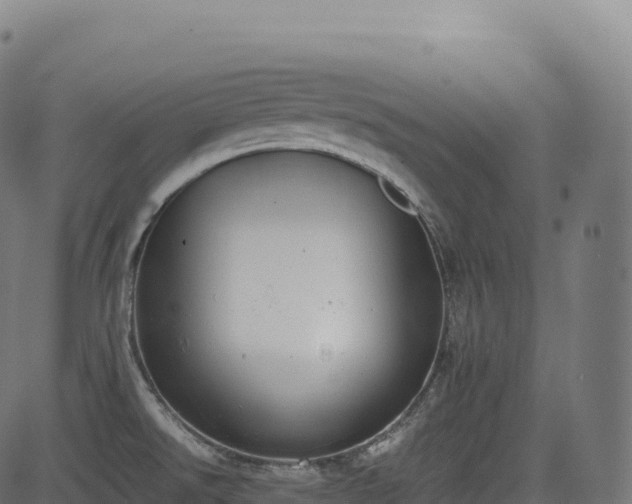 X0000085251526200703091245