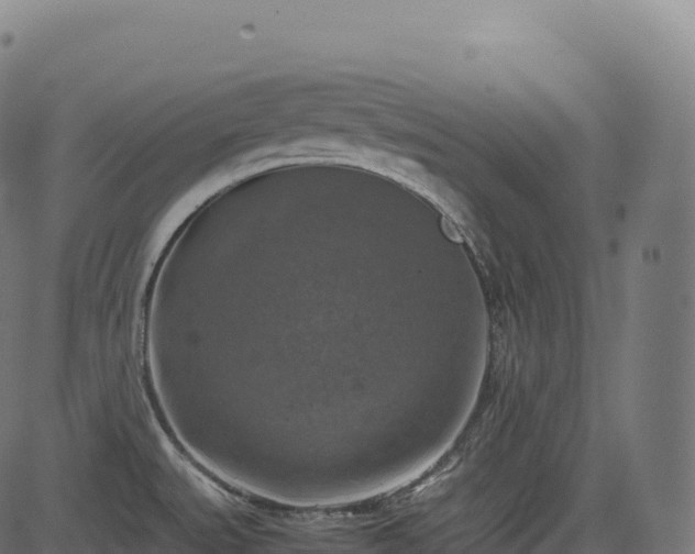 X0000085251527200703091245