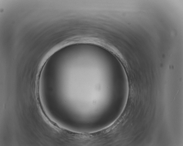 X0000085251528200703091245