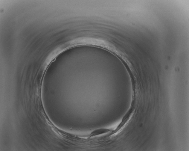 X0000085251529200703091245