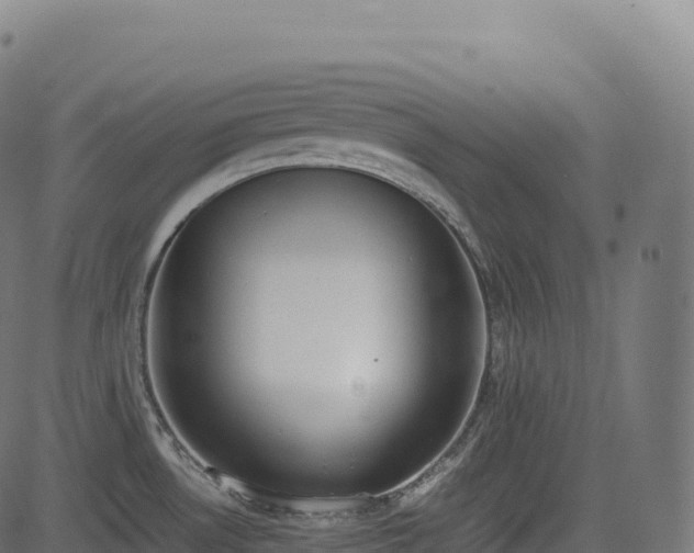 X0000085251530200703091245