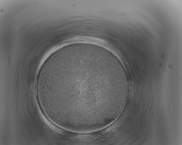 X0000085251531200703091245