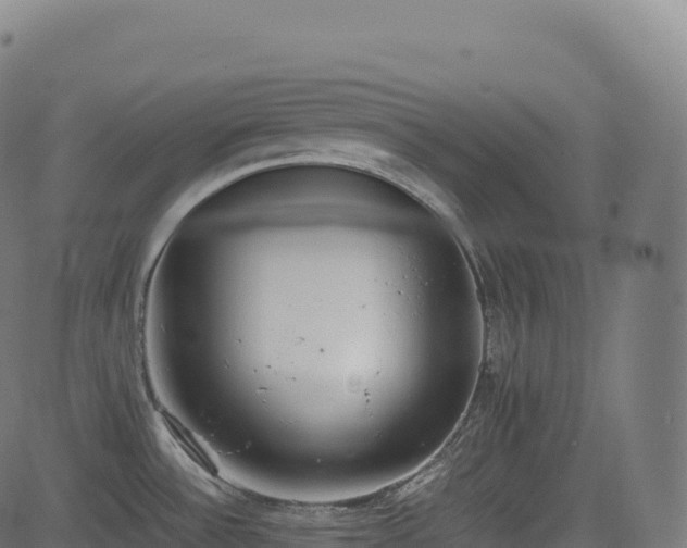 X0000085251532200703091245