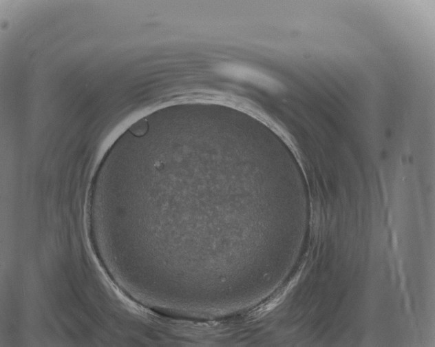 X0000085251533200703091245