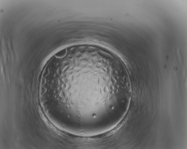 X0000085251534200703091245