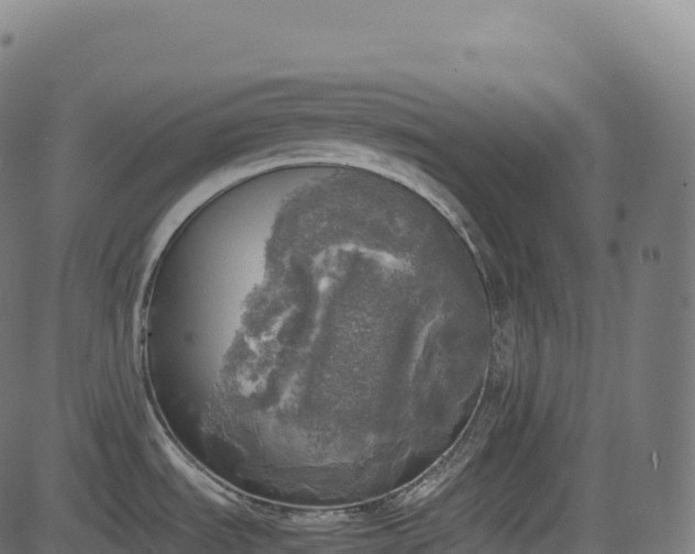 X0000085251535200703091245