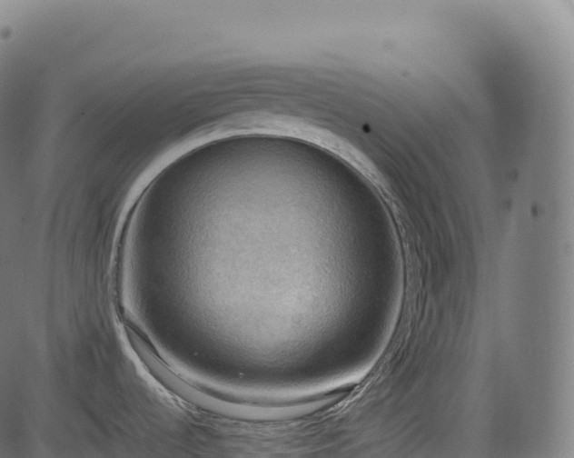 X0000085251536200703091245