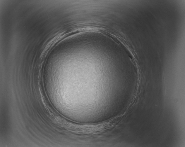 X0000085250001200703161305