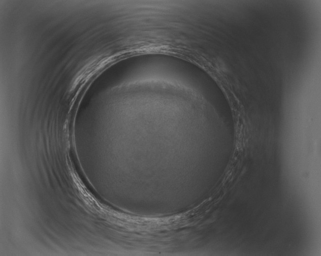 X0000085250002200703161305