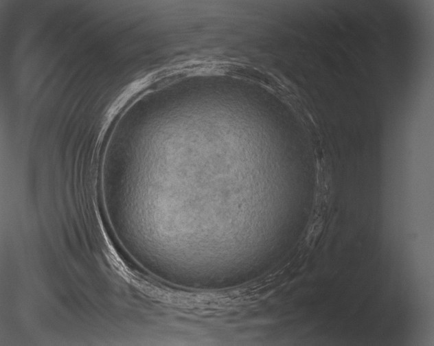 X0000085250003200703161304