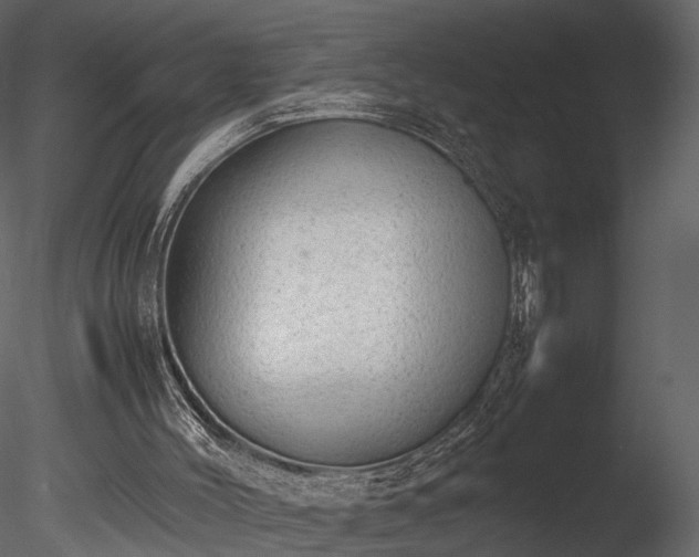 X0000085250004200703161304