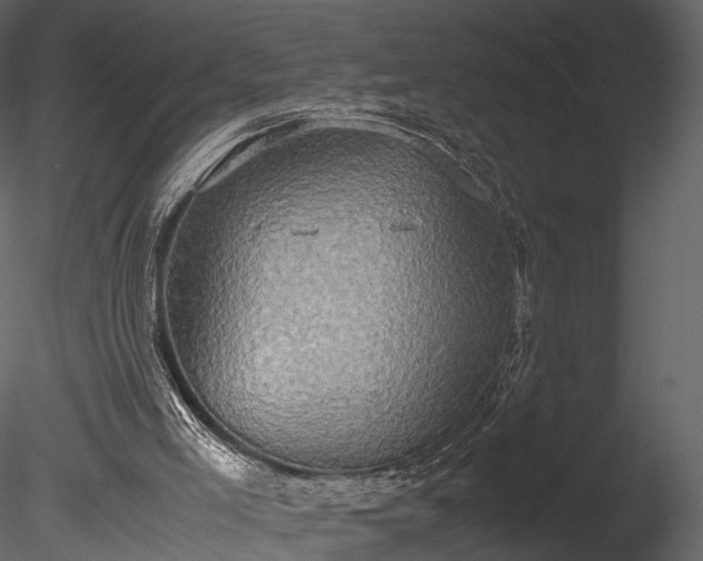 X0000085250005200703161304