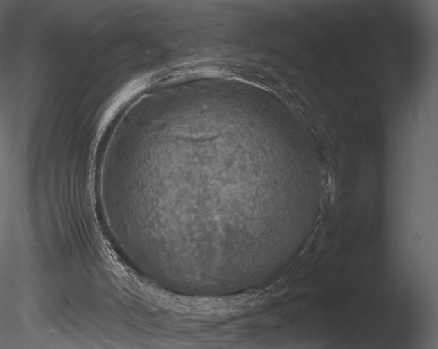 X0000085250006200703161304