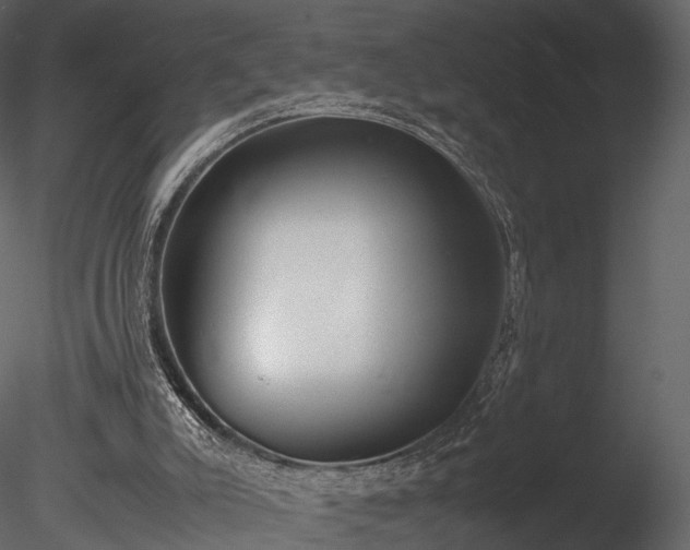 X0000085250007200703161304