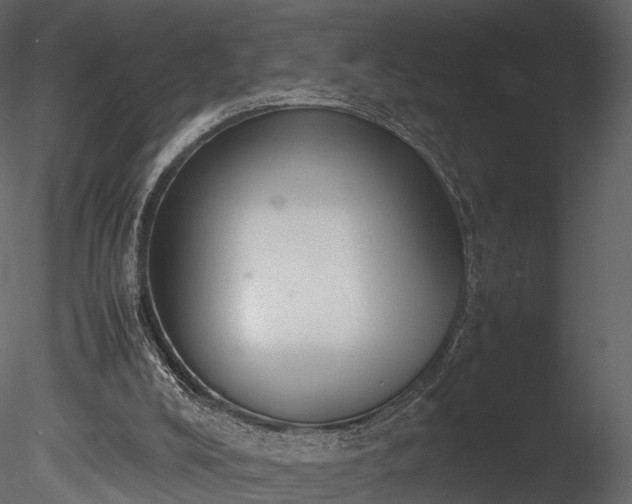 X0000085250008200703161304