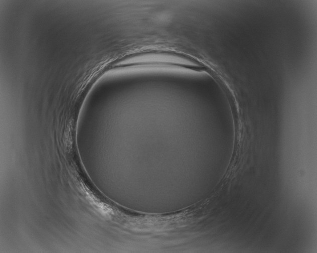 X0000085250009200703161304