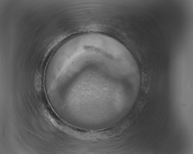 X0000085250012200703161304