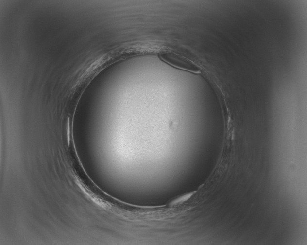 X0000085250013200703161304