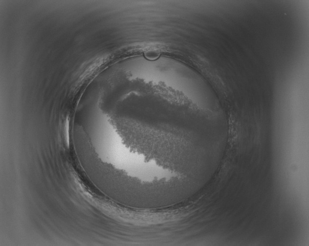 X0000085250014200703161304