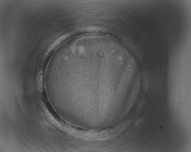 X0000085250016200703161304