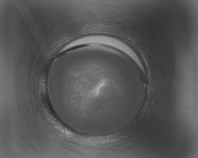 X0000085250017200703161304