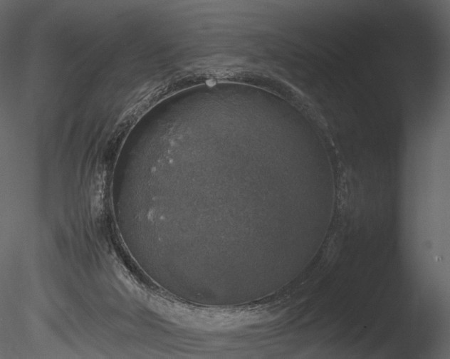 X0000085250018200703161304