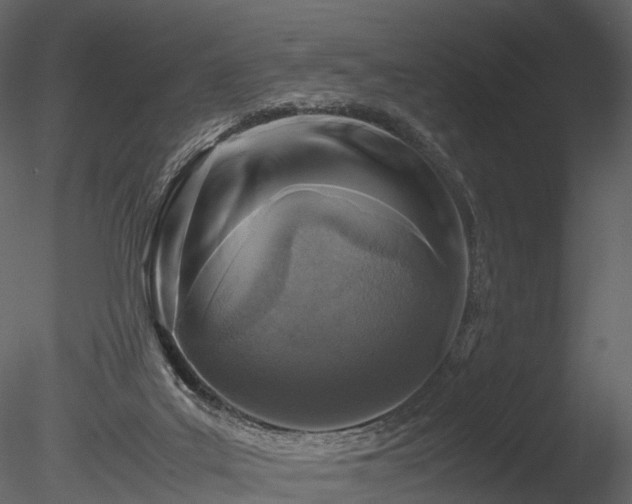 X0000085250019200703161304