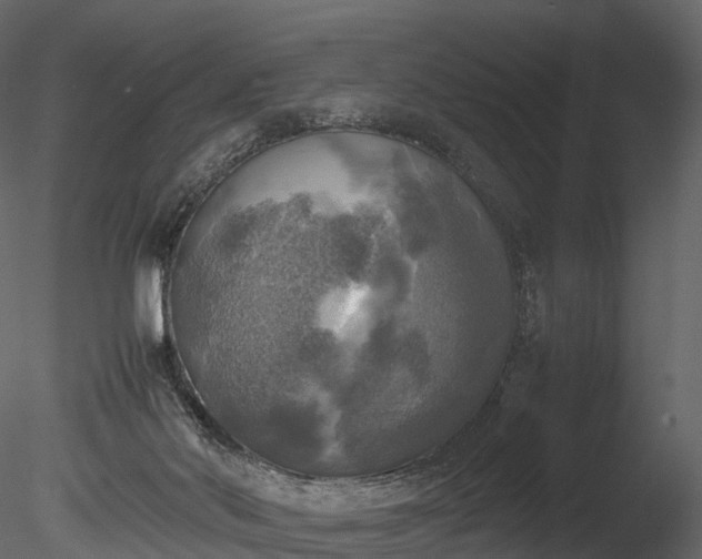 X0000085250022200703161304