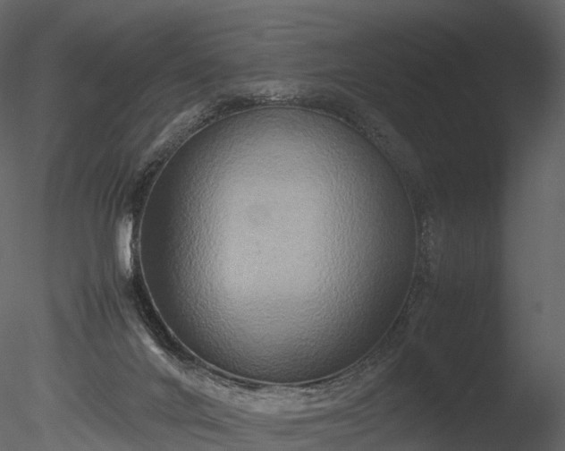 X0000085250024200703161304