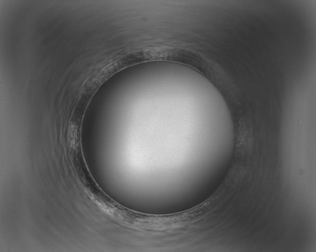 X0000085250025200703161304