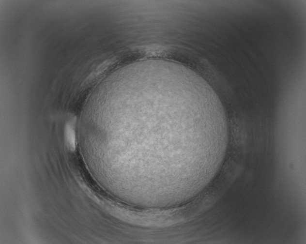 X0000085250028200703161304