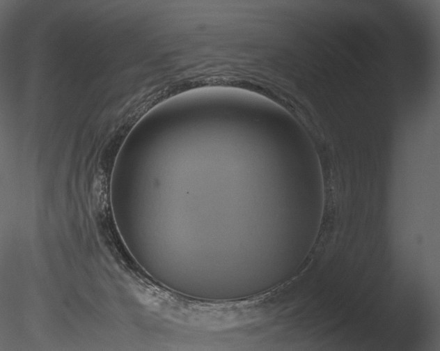 X0000085250029200703161304