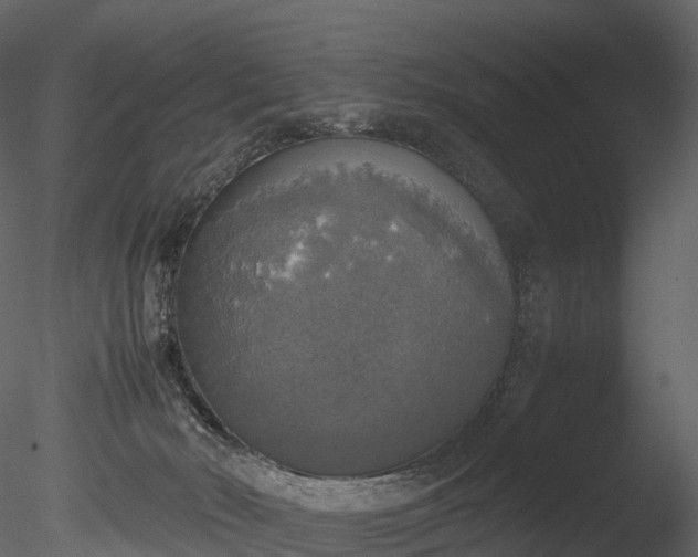 X0000085250030200703161304